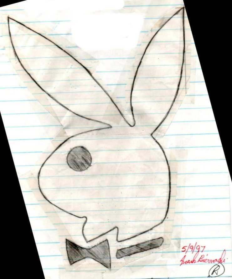 Play_Boy_Bunny